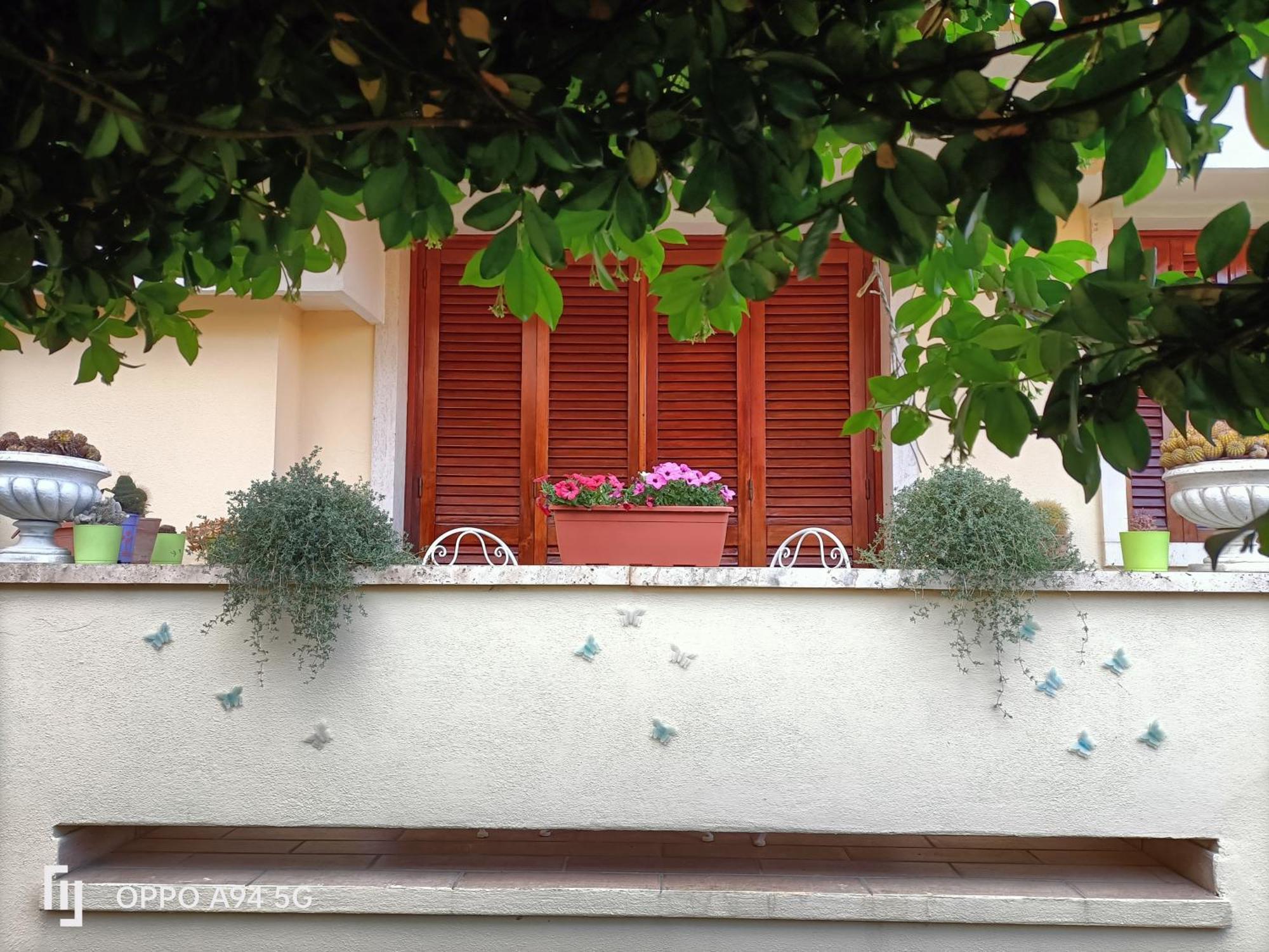 Gemma Di Gallura Charme B&B Ольбія Екстер'єр фото